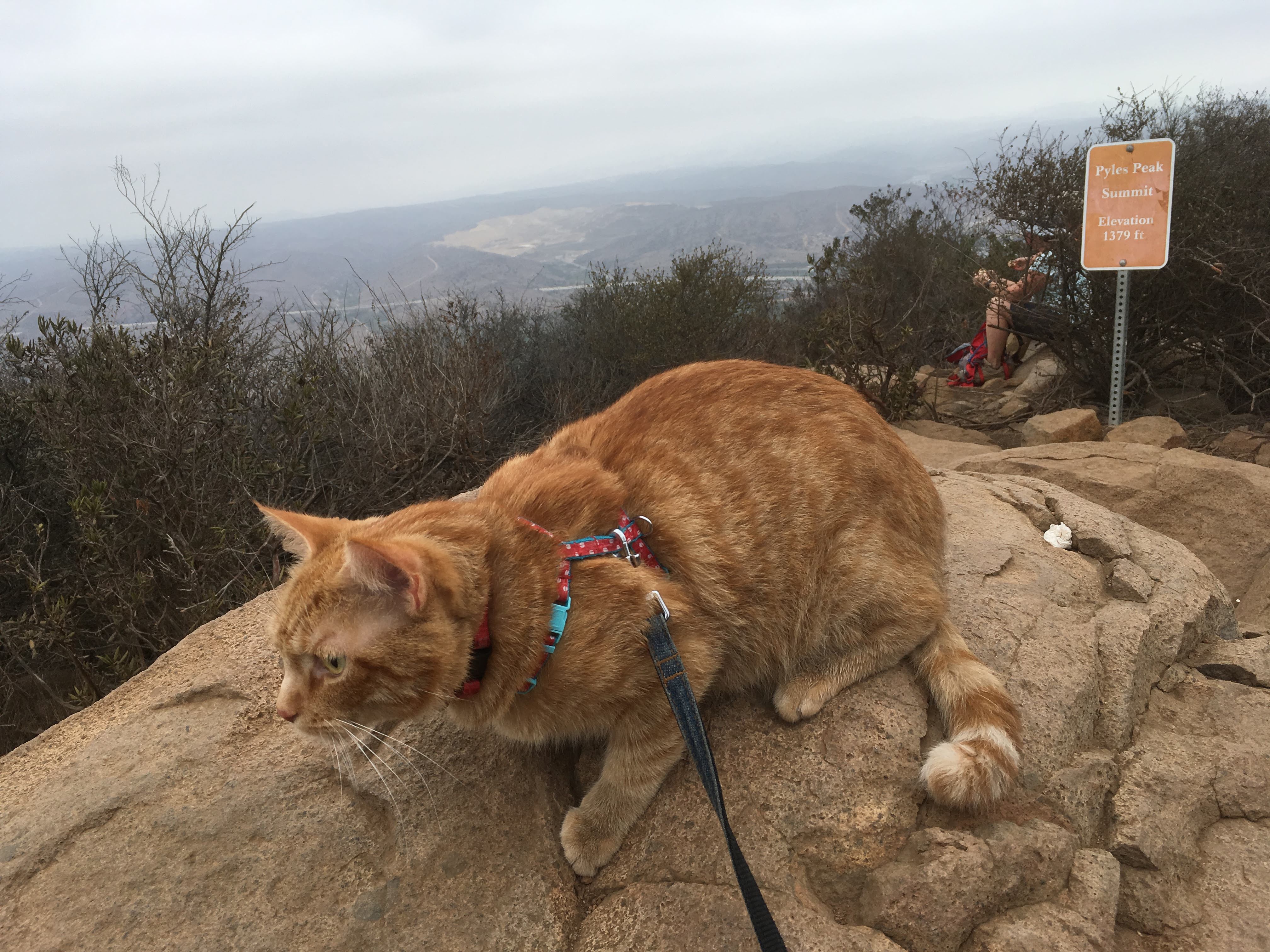 Pyles Peak (Mission Trails Regional Park) - Hiking San Diego County