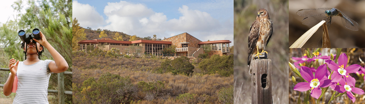 Mission Trails Regional Park Weather