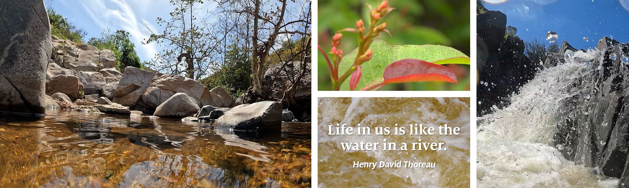 Life in us is like the water in a river. -- Henry David Thoreau